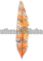 50cm Nandu plumes d'autruche pour fête maison mariage Vase décor bricolage artisanat Floral chapeau Fascinator chapellerie chapeaux accessoire