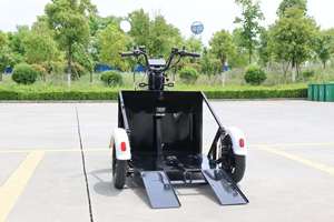Tricycle électrique motorisé 48V 1000W pour personnes à mobilité réduite, véhicule de skateboard tout-terrain Ks-ly-09, version spéciale différenti - Product Image 3
