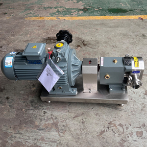 1Hp Food Grade Stainless Steel SS304 High Viscosity Rotary Lobe <b>Pump</b> With Mechanical Stepless Speed Regulation - Product Image 6