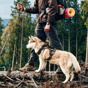 เสื้อกั๊กไนลอนสะท้อนแสงสำหรับสุนัขเสื้อกั๊กฝึกสุนัขขนาดใหญ่ปรับแต่งได้มีหลายสี - Product Image 5