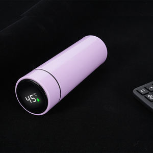 फैक्ट्री टंबलर 500 मिली मींडोज डी एगुआ जिम पानी की बोतल वासो टेरिको इनुक्स वासोसो डी एसेरो इंडोमेबल स्टेनलेस स्टील पानी की बोतल - Product Image 5