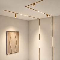 Projecteur LED Magnétique Doré à Grille, Luminaire Linéaire Flexible Moderne, Spot LED DC48V pour Plafond Intérieur Maison