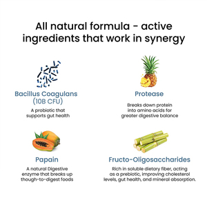 OEM/ODM : Bandes buccales probiotiques avec enzymes pour la digestion saine, la perte de poids, la détoxification naturelle et un effet rapide. - Product Image 3