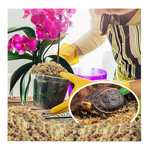 Prix de gros culture d'orchidées à fibres longues mousse de sphaigne de qualité supérieure mousse sèche pour plantes de substrat de reptiles - Product Image 3