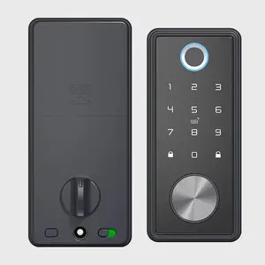 Smart Home Smart Lock S919-5 Ttlock Wachtwoord Kaart Smart Keyless Digitale Deursloten Vingerafdruk Deurslot Met Sensor