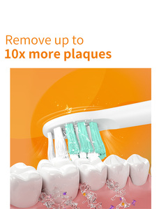 Cepillo de Dientes Eléctrico Sónico Seago OEM, Económico y Elegante para Adultos, 40,000 Pulsaciones por Minuto, IPX7, 2 Baterías con Duración de 90 Días - Product Image 5