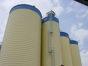 Silos de Almacenamiento Industrial de Gran Volumen para Almacenamiento de Polvo y Gránulos a Granel con Utilización Eficiente del Espacio y Operaciones Optimizadas - Product Image 3