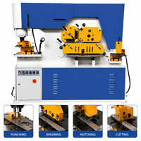 Machine de découpe, de poinçonnage et de rainurage hydraulique robuste pour atelier de fabrication métallique