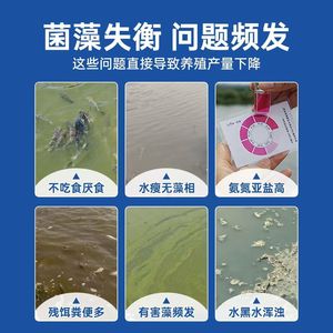 Probióticos para Estanques de Acuicultura Yuyao, Súper Concentrados, Bacterias EM Fácilmente Solubles - Product Image 5
