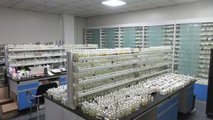 Huile parfumée de haute qualité crème pour le corps parfum frais crème pour le corps beurre de corps huile parfumée pour la fabrication cosmétique - Product Image 2