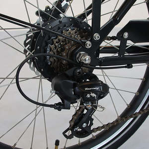 Tricycle cargo à pédales, vélo électrique de ville, vélo cargo familial électrique hollandais de haute qualité à 3 roues, Bakfiet, remorque, vélo cargo électrique 4 places <span class=keywords><strong>pour</strong></span> bébé - Product Image 6