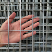 Panneaux de grillage soudé en fer galvanisé pour élevage d'animaux, cages pour lapins, poulets, chiens, construction durable et écologique, clôture d'isolement