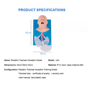 Maniquí de Simulación Humana de PVC ADA BIX-J4A para Vías Respiratorias Infantiles, Ciencia Médica, Intubación Traqueal, Enseñanza, Aprendizaje de Anatomía - Product Image 3