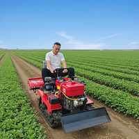 Mini-tracteur chenillé diesel/agricole/pour verger, haute puissance, plusieurs options disponibles