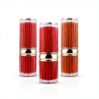 Gloss à lèvres longue tenue aux minéraux naturels, emballage en spirale, tubes personnalisés pour un look naturel, échantillon de rouge à lèvres OEM ODM