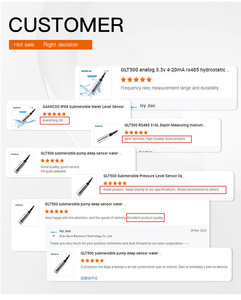 GLT500 Hochwertiger 1m 2m 3m Hydrostatischer Flüssigkeitsstandsensor Wassertank-Füllstandsanzeige Flüssigkeitsindikator - Product Image 6