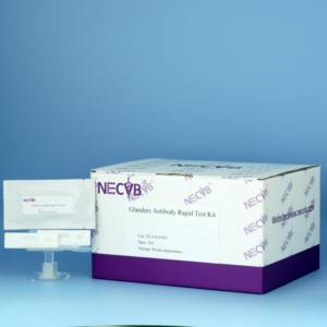 Gland ers Antikörper Schnelltestst reifen | Burk holderia mallei Detection | 50 Tests/Kit - Product Image 4