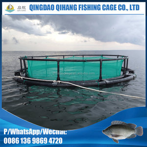 Daurade voir basse cage de pisciculture - Product Image 3