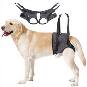 Imbracatura di Supporto per Zampe Posteriori di Cani, Materiale in Poliestere Solido <span class=keywords><strong>XL</strong></span>, Comoda Cinghia di Trazione per Cani Infortunati o Anziani in Riabilitazione - Product Image 4