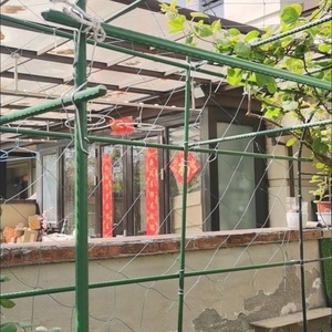 <span class=keywords><strong>Piquets</strong></span> <span class=keywords><strong>de</strong></span> jardin en plastique <span class=keywords><strong>de</strong></span> haute qualité pour plantes grimpantes (<span class=keywords><strong>tomates</strong></span>, concombres) - Product Image 4