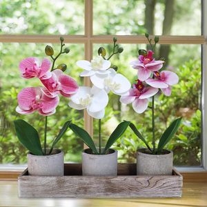 Ensemble de 3 petites orchidées artificielles en pot, arrangement dans une jardinière en céramique, écologique, avec trou de drainage, pour la maison, le bureau ou le bureau à domicile - Product Image 4