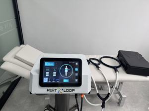 Máquina Profissional de Magnetoterapia PEMF LOOP 2 em 1 para Corpo Humano e Cavalo - Dispositivo Magnético de Pulso para Tecidos Profundos - Product Image 3