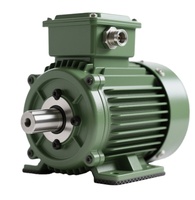 Moteur WEG 7,5 kW 4P 400/690V B35T 132M IE3 11 kW Moteur triphasé WEG W21 IP55 pour moulin à farine