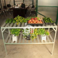 Vente directe d'usine, support à plantes en métal à 2 niveaux avec 14 barres par niveau, étagère de jardin résistante à la rouille pour l'extérieur/l'intérieur