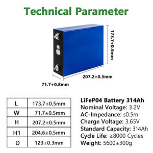 Harga Pabrik 3.2V Lishen LP314Ah Sel Baterai Lithium Prismatic Lifepo4 untuk Sistem Tenaga Listrik - Product Image 4
