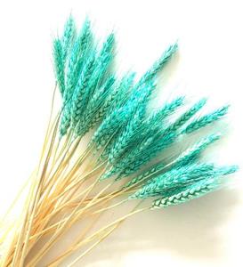 Guansen Boho Decor décoration <span class=keywords><strong>de</strong></span> <span class=keywords><strong>la</strong></span> maison bouquet séché blé belle orge séchée naturelle séchée pour arrangement <span class=keywords><strong>de</strong></span> fleurs - Product Image 4