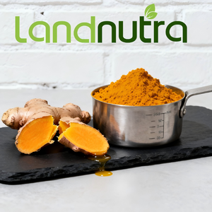 Pasokan Pabrik Harga Terbaik Pigmen Alami Ekstrak Akar Kunyit Bubuk Kurkumin Ekstrak Kunyit Kemurnian Tinggi - Product Image 3