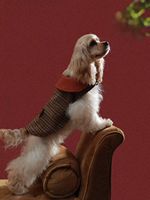 Manteau réversible en coton pour animaux de compagnie, cape pour chats et chiens, vêtements d'hiver modernes et mignons pour Halloween, tendance et populaire