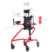 Andador Posterior Ligero con Asiento para Parálisis Cerebral y Necesidades Especiales