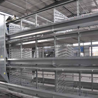 Système d'alimentation automatique de type H pour cages à poules pondeuses en batterie