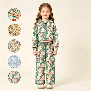 Conjuntos de Ropa para Niñas, Estilo Casual, con Estampado Floral Otoñal, Sudadera con Capucha y Pantalones con Bolsillos, 2 Piezas, Venta al Por Mayor, Ropa para Hermanas - Product Image 1