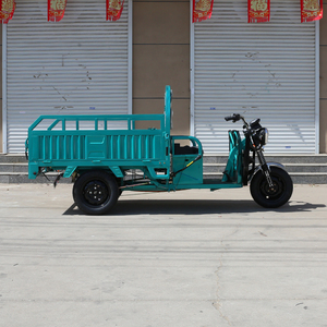 Nouveau 2024 Tricycle Électrique 1000W pour Usage Familial, Vélo Électrique à 3 Roues avec Panier Arrière - Product Image 4