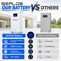 Système de stockage d'énergie domestique hybride Seplos pour Mason 280 48V LiFePO4 avec BMS intelligent, pack de batteries vertical séparé, alimentation de secours solaire