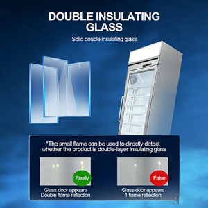 <span class=keywords><strong>Refrigerador</strong></span> Vertical Comercial de Alta Calidad con <span class=keywords><strong>2</strong></span> <span class=keywords><strong>Puertas</strong></span> para Alimentos Congelados, Helados y Congelados - Product Image 3