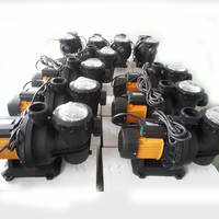 Pompe à filtre à eau de circulation de piscine solaire JP17-15/500 avec moteur sans balais 48V CC