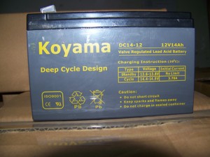 Batería VRLA de Ciclo Profundo AGM <span class=keywords><strong>12V14Ah</strong></span> para Scooter Eléctrico, Bicicleta Eléctrica, Triciclo - Product Image 2