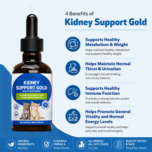 Suplemento Líquido para Mascotas, Alto en Proteínas, para la Salud <span class=keywords><strong>de</strong></span> las Articulaciones, para Perros y <span class=keywords><strong>Gatos</strong></span>, <span class=keywords><strong>Medicina</strong></span> para <span class=keywords><strong>Gatos</strong></span> - Product Image 3