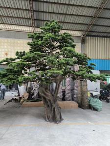 Lớn Ngoài Trời Trong Nhà Nhân Tạo Cây Bonsai 1M <span class=keywords><strong>2M</strong></span> 3M Màu Xanh Lá Cây Nhân Tạo Cây Thông Cho Vườn Trung Tâm Trang Trí Nội Thất - Product Image 4