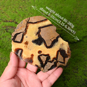 Лидер продаж, натуральный черепаховый узор, полированный септарианский Хрустальный ломтик для украшения дома - Product Image 4