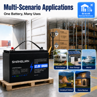 Batterie LiFePO4 12V 100Ah 200Ah 300Ah 600Ah 1280Wh à cycle profond, personnalisable, OEM, vente en gros, directement de l'usine, pour distributeurs en gros