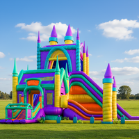 Château gonflable commercial certifié CE en PVC avec matériau de 0,55 mm, maison de rebond amusante pour plus de 10 personnes