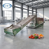 Automatische gaasbanddroger voor thuisgebruik voor het drogen van maïs, kokos, copra en mango
