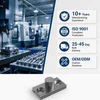Cerradura Automática Prebloqueable para Ventana Corredera de Aluminio, Cabezal de Cerradura de Acero Inoxidable 304, Base de Aleación de Zinc, Unidad de Repuesto
