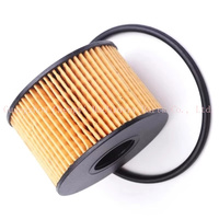 Filtre à huile pour Equator Sport 1.5T 2021 YUSHENG S330 2016 XIAOYAO X7 2018, accessoires HY16744AA