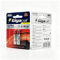 Piles AAA 1,5 V Ultra Haute Performance au Carbone-Zinc Triple A (Lot de 2)