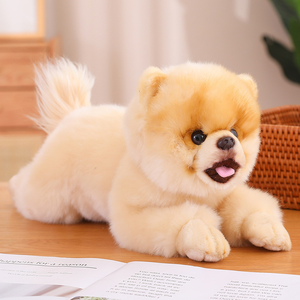 ตุ๊กตาสัตว์น่ารักเหมือนจริงสำหรับลูกสุนัขปอมเมอเรเนียนของเล่นสุนัขของขวัญวันครบรอบปรับแต่งได้สำหรับเด็กผู้หญิงและเด็กผู้ชาย16นิ้ว - Product Image 2